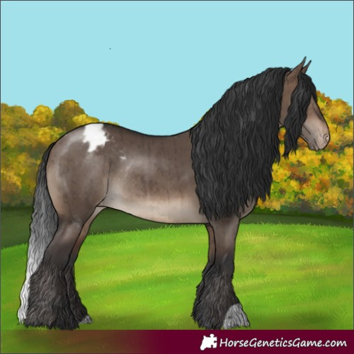 Horse Color:Brown Dun Appaloosa Rabicano Brindle 