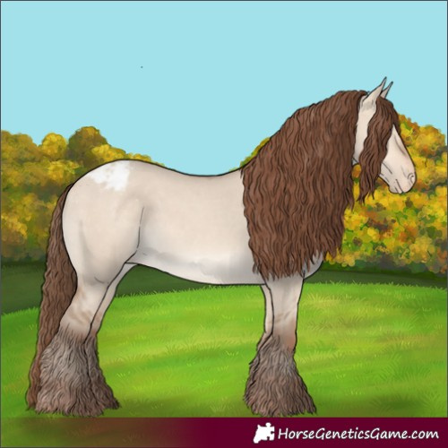 Horse Color:Amber Champagne Dun Appaloosa