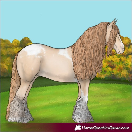 Horse Color:Buckskin Pearl Splash Tobiano Appaloosa 