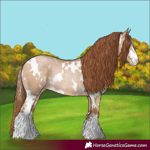 Horse Color:White Spotted Brown Pearl Dun Sabino Appaloosa Rabicano