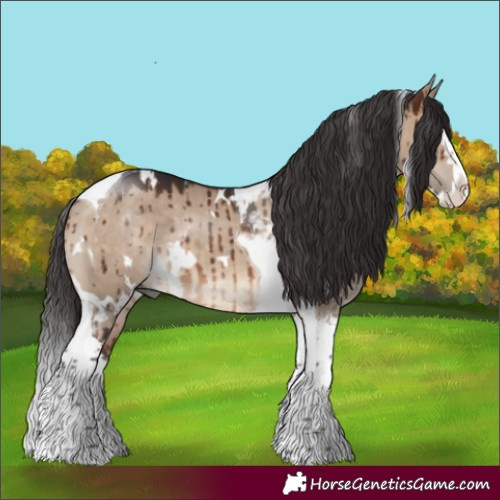 Horse Color:White Spotted Brown Dun Splash Tobiano Rabicano Brindle 
