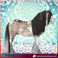Horse Color:White Spotted Brown Dun Splash Tobiano Rabicano Brindle 