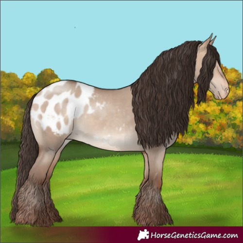 Horse Color:Amber Champagne Dun Appaloosa Rabicano