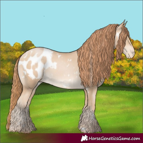 Horse Color:White Spotted Buckskin Pearl Appaloosa Rabicano 
