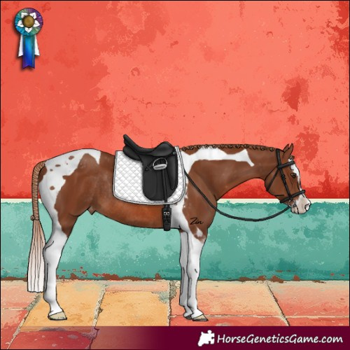 Horse Color:Chestnut Splash Tobiano Appaloosa Rabicano 