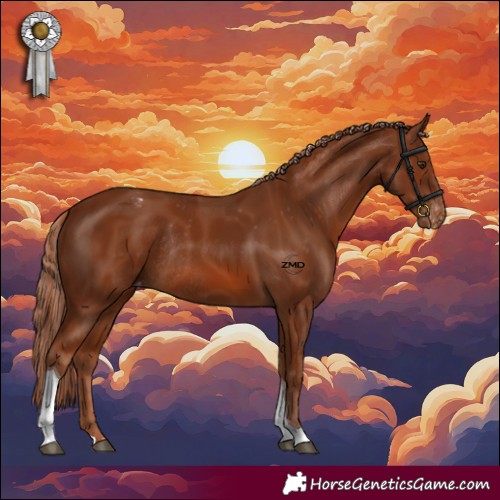 Horse Color:Chestnut Tobiano Appaloosa Rabicano 