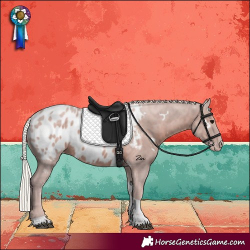 Horse Color:White Spotted Silver Black Tobiano Appaloosa Rabicano 