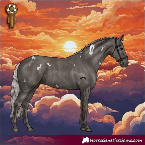 Horse Color:White Spotted Silver Black Rabicano 