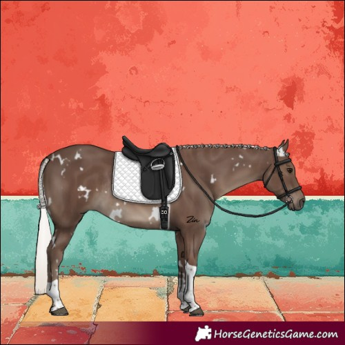 Horse Color:White Spotted Silver Black Tobiano Rabicano