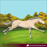 Horse Color:Silver Buckskin