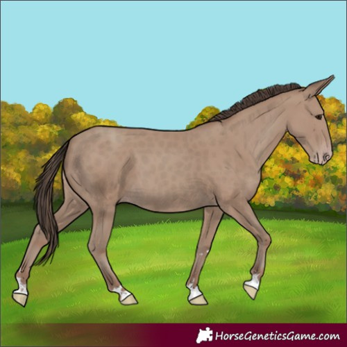 Horse Color:Classic Champagne 