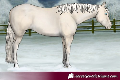 Horse Color:Palomino Pearl