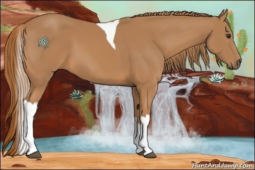 Horse Color:Chestnut Tobiano