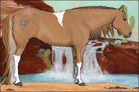 Horse Color:Chestnut Tobiano