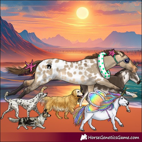 Horse Color:Buckskin Dun Near Leopard Rabicano 