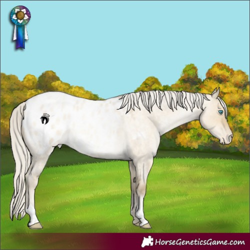 Horse Color:Silver Buckskin Roan Pearl Dun Blanket