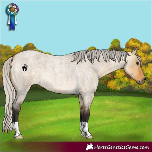 Horse Color:Silver Buckskin Roan Dun 