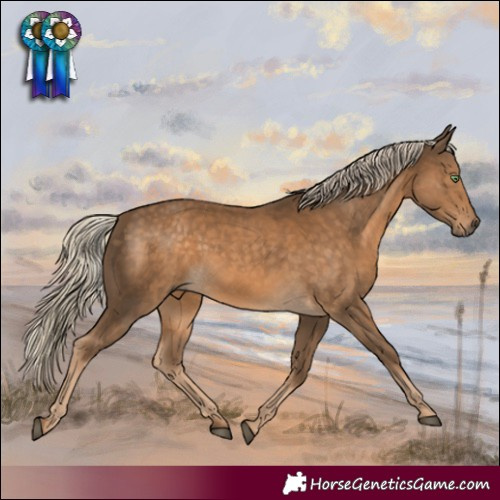 Horse Color:White Spotted Chocolate Palomino 