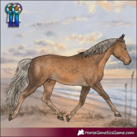 Horse Color:White Spotted Chocolate Palomino 