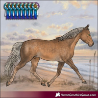 Horse Color:White Spotted Chocolate Palomino 