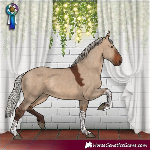 Horse Color:Silver Brown Dun Tobiano 