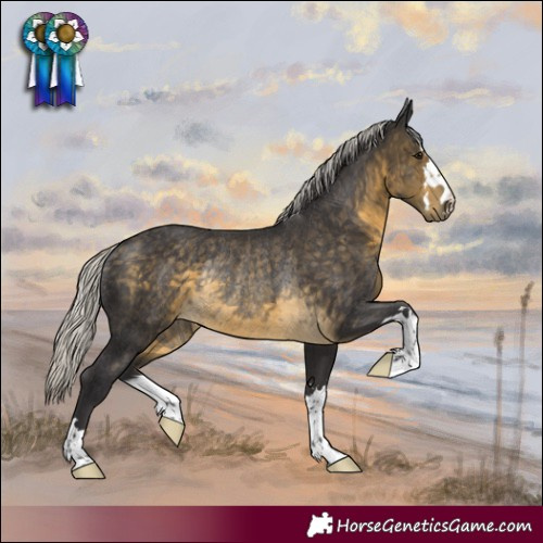 Horse Color:Silver Buckskin Rabicano 