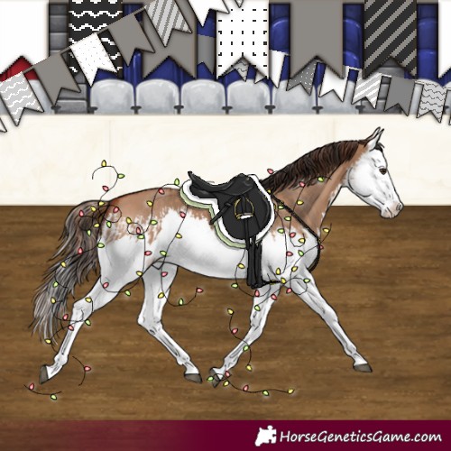 Horse Color:Red Dun Splash  and Bay Dun Splash 