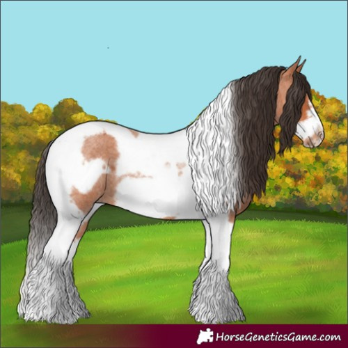 Horse Color:Bay Roan Tobiano Frame 