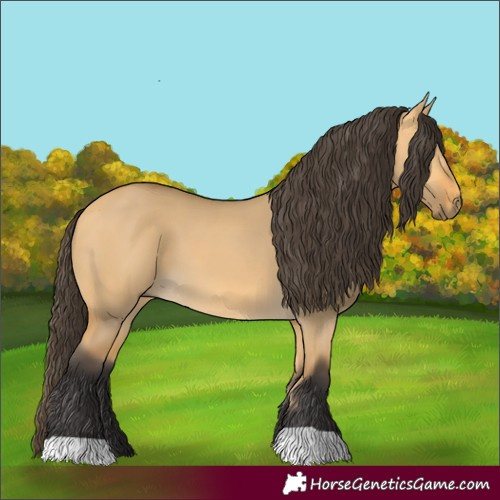 Horse Color:Buckskin Dun 