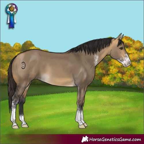 Horse Color:Buckskin Dun Sabino 