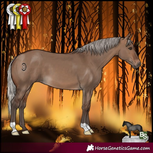 Horse Color:Silver Brown Dun 