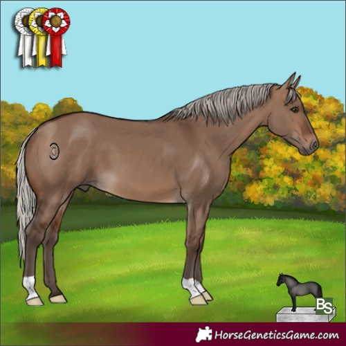 Horse Color:Silver Brown Dun