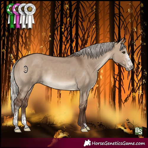 Horse Color:Silver Brown Dun Sabino 