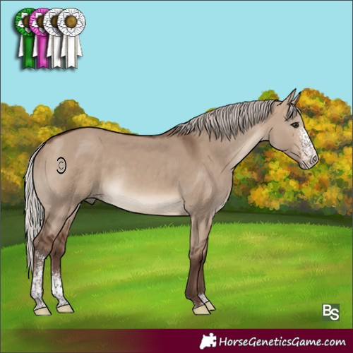 Horse Color:Silver Brown Dun Sabino 