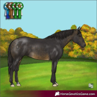 Horse Color:Buckskin