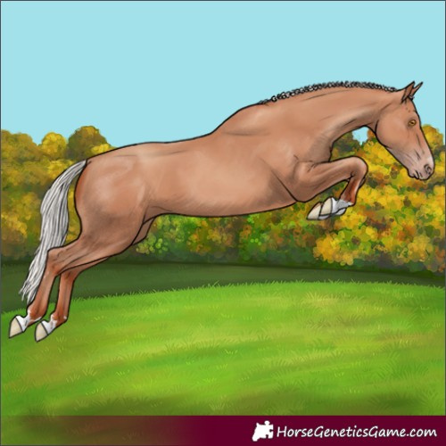 Horse Color:Silver Classic Champagne 