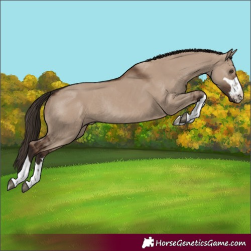 Horse Color:Unknown 