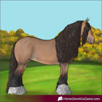 Horse Color:Unknown