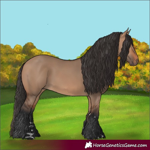 Horse Color:Bay Dun