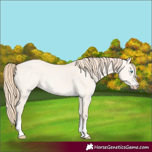 Horse Color:Perlino Dun