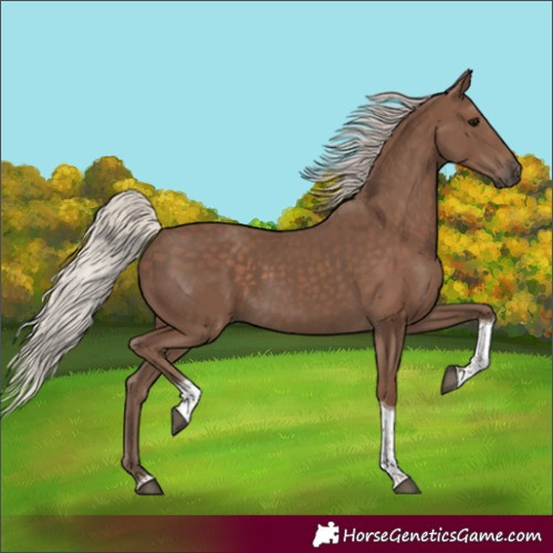 Horse Color:Silver Black Tobiano 