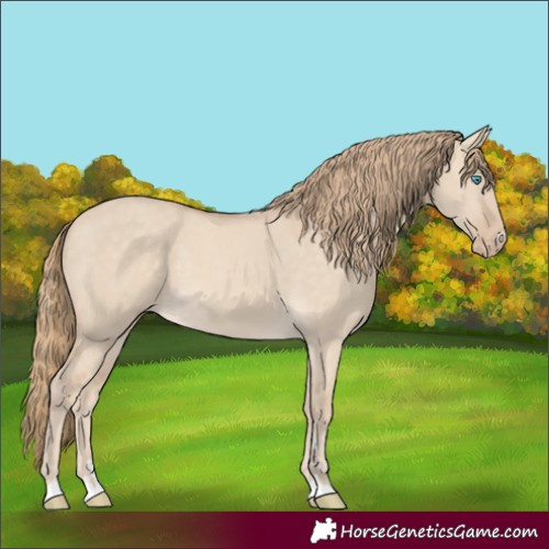 Horse Color:Perlino Dun