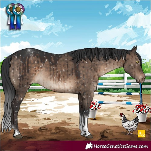Horse Color:Brown Dun Tobiano Appaloosa Brindle 