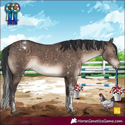 Horse Color:Brown Dun Mushroom Tobiano Appaloosa Rabicano Brindle 