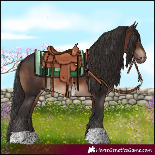 Horse Color:Brown 