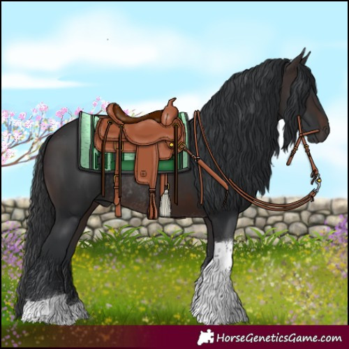 Horse Color:Brown Tobiano Rabicano 