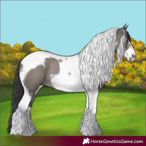 Horse Color:Grullo Tobiano Frame Rabicano 