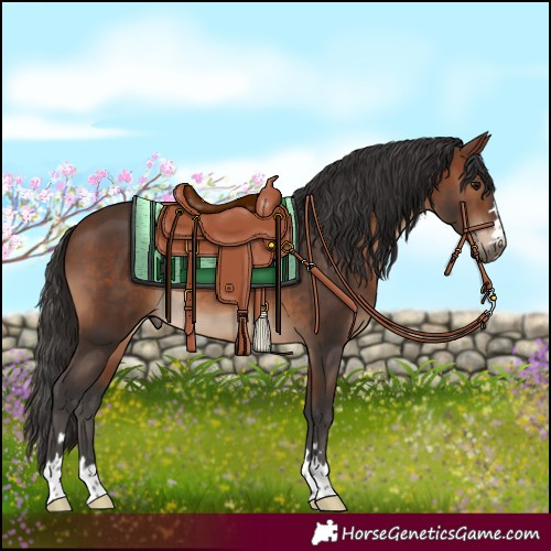 Horse Color:Brown 