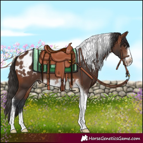 Horse Color:Brown Tobiano Frame Blanket 