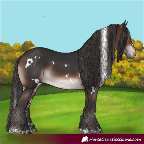 Horse Color:White Spotted Brown Mushroom Rabicano